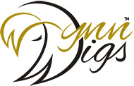 Wynn Wigs Wynn Wigs